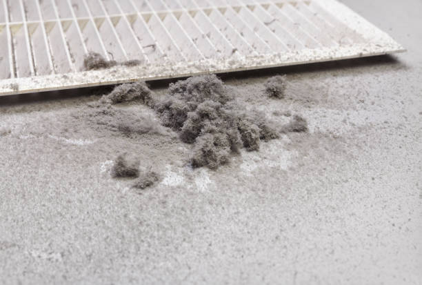 Best Ventilation Cleaning Services  in Mked Tree, AR