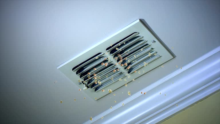 Best Best Air Duct Cleaning Company  in Mked Tree, AR