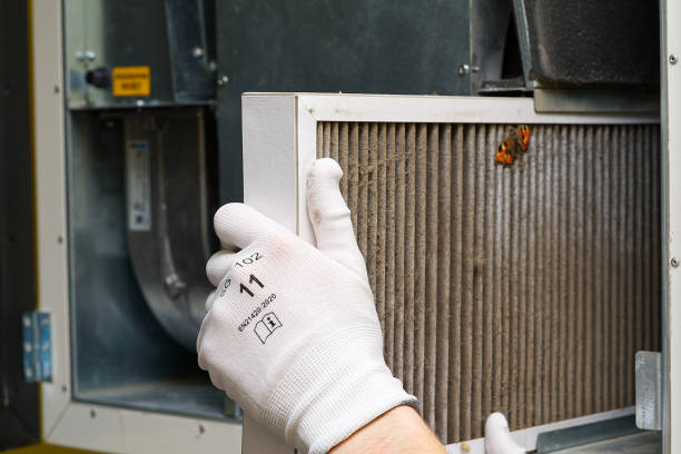 Best HVAC System Cleaning  in Mked Tree, AR