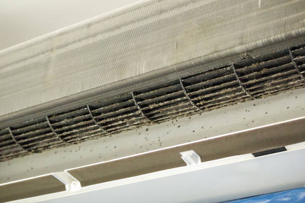 Best HVAC Air Duct Cleaning  in Mked Tree, AR