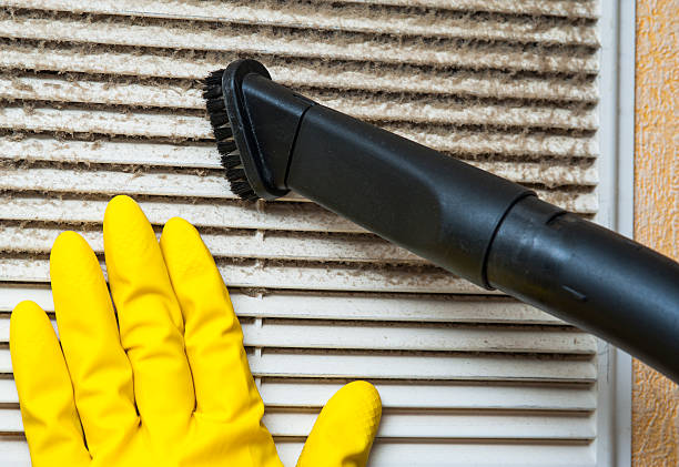 Best HVAC Duct Inspection Services  in Mked Tree, AR
